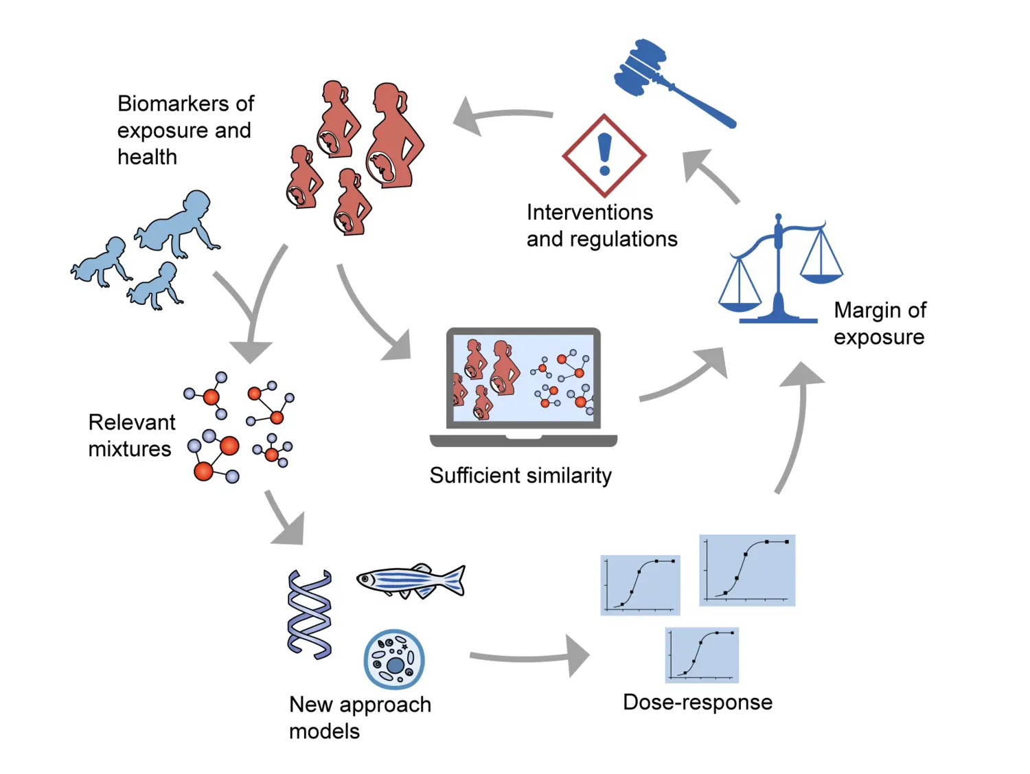 In order to develop better interventions and regulations there is a need to combine new approach methods with biomarkers of exposure and health. Computational models and relevant mixtures help us to understand the health risks. The figure summarizes the f
