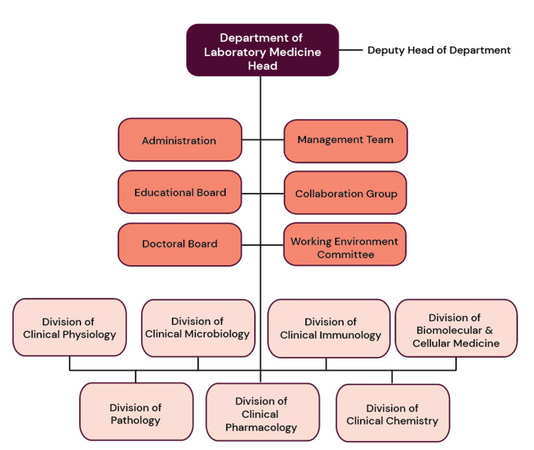 Organisational chart for Department of Laboratory Medicine.