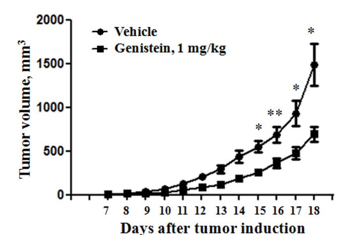 Upward graph showing tumour volume over days