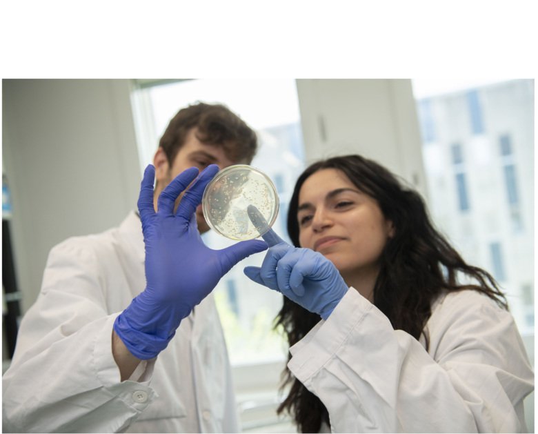 Two scientists with blue gloves are analysing an agar plate