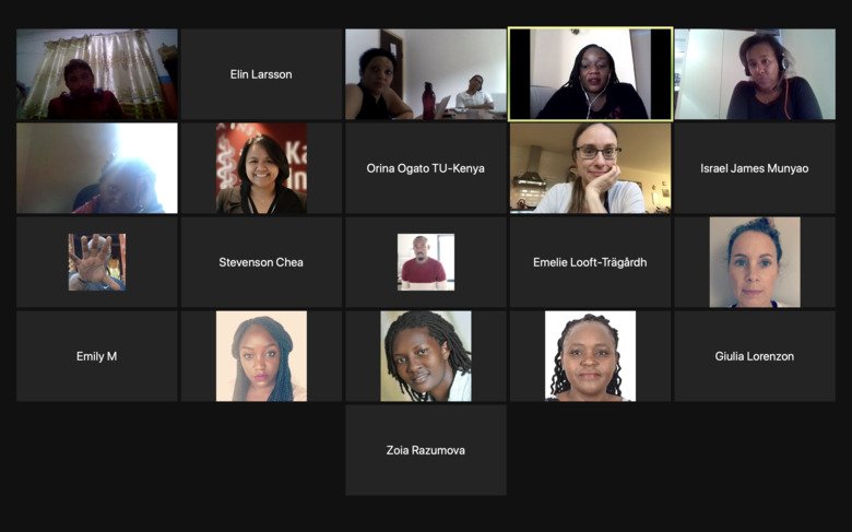 Screenshot from the doctoral course Sexual and Reproductive Health and Rights.