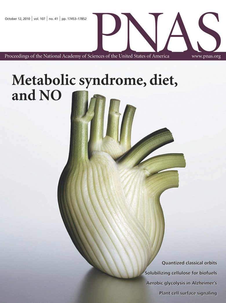 PNAS cover, october 12, 2010.