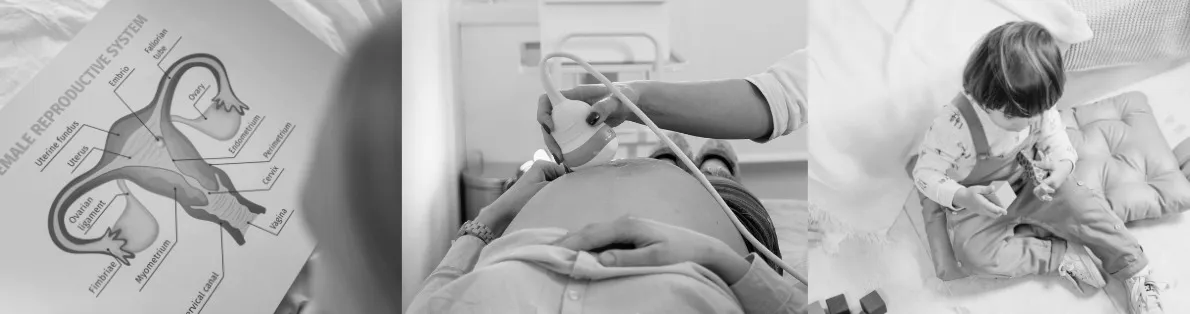 reproduktion, sonogram, barn med klossar