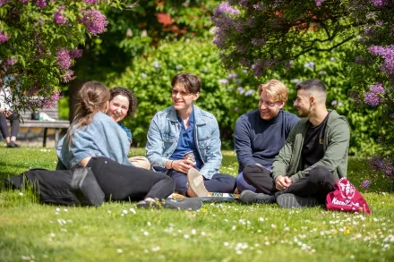 Fyra studenter sitter i gräset