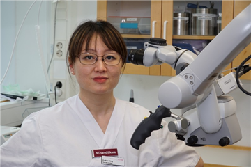 Evelina Wang Wandemo