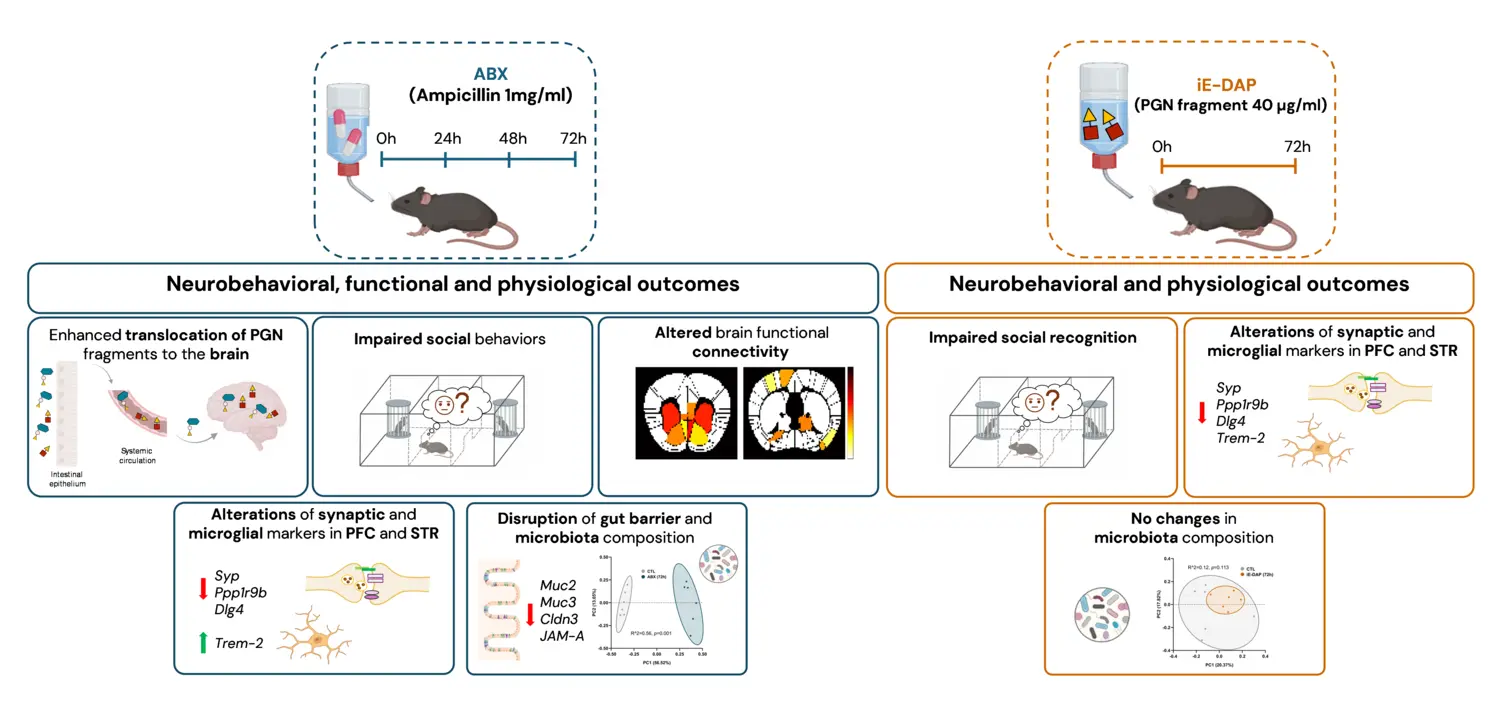 Sammansättning av olika bilder och text