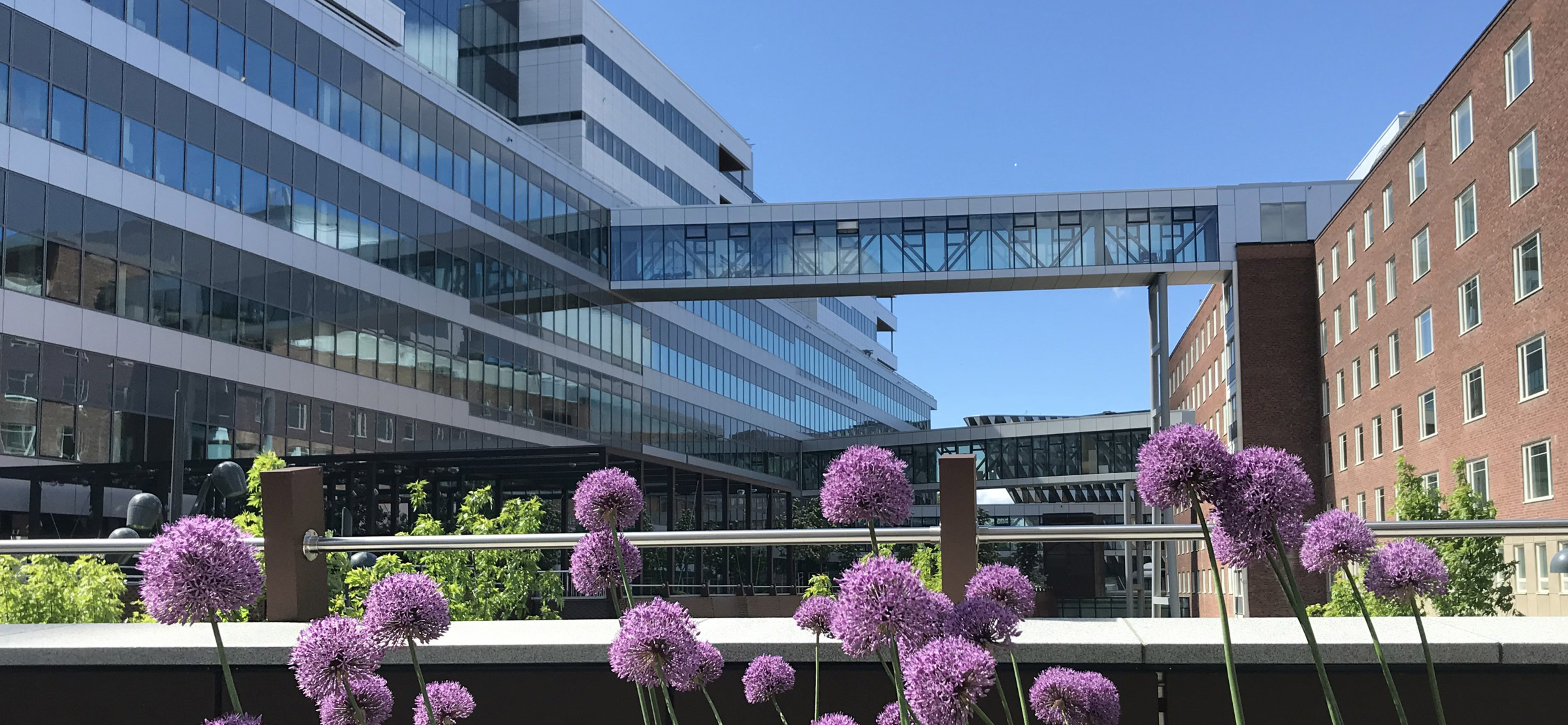 Department of Molecular Medicine and Surgery | Karolinska Institutet
