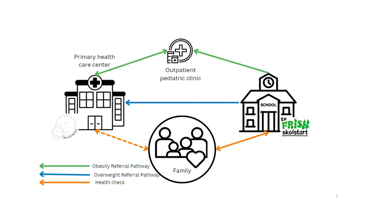 A partnership model for health promotion and early prevention and treatment of obesity