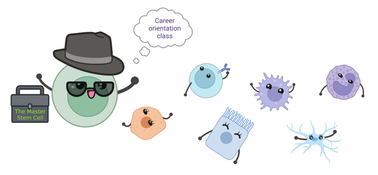 Illustration of a stem cell as teacher and other cells as students
