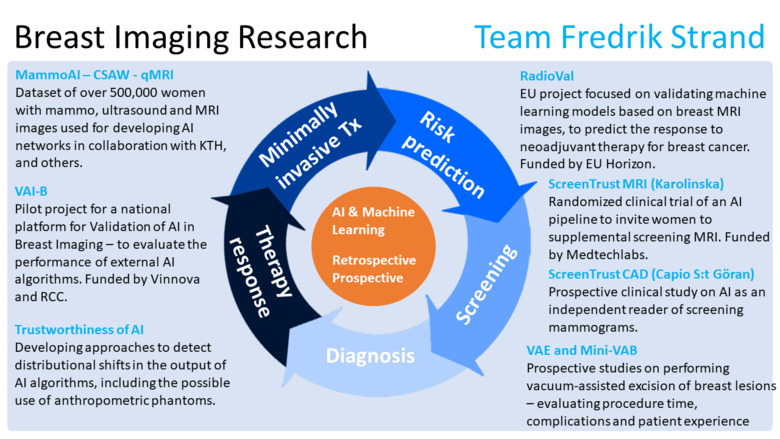 Picture describing research team Fredrik Strand's research within breast cancer.