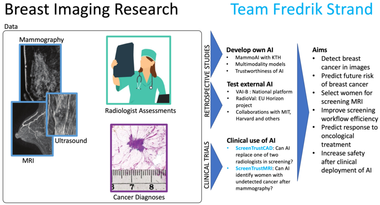 Breast cancer research within the research team of Fredrik Strand.