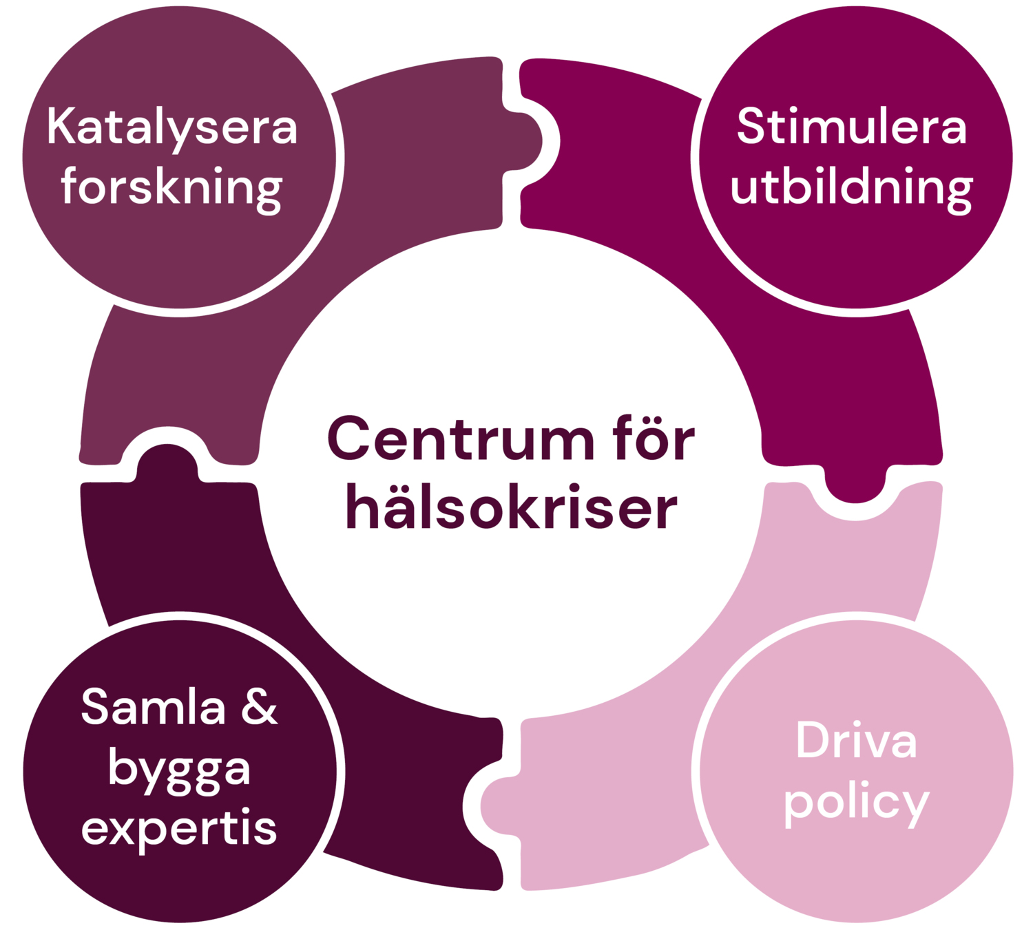 Cirkel bestående av fyra pusslbitar där det står: katalysera forskning, stimulera utbildning, samla och bygga expertis, driva policy