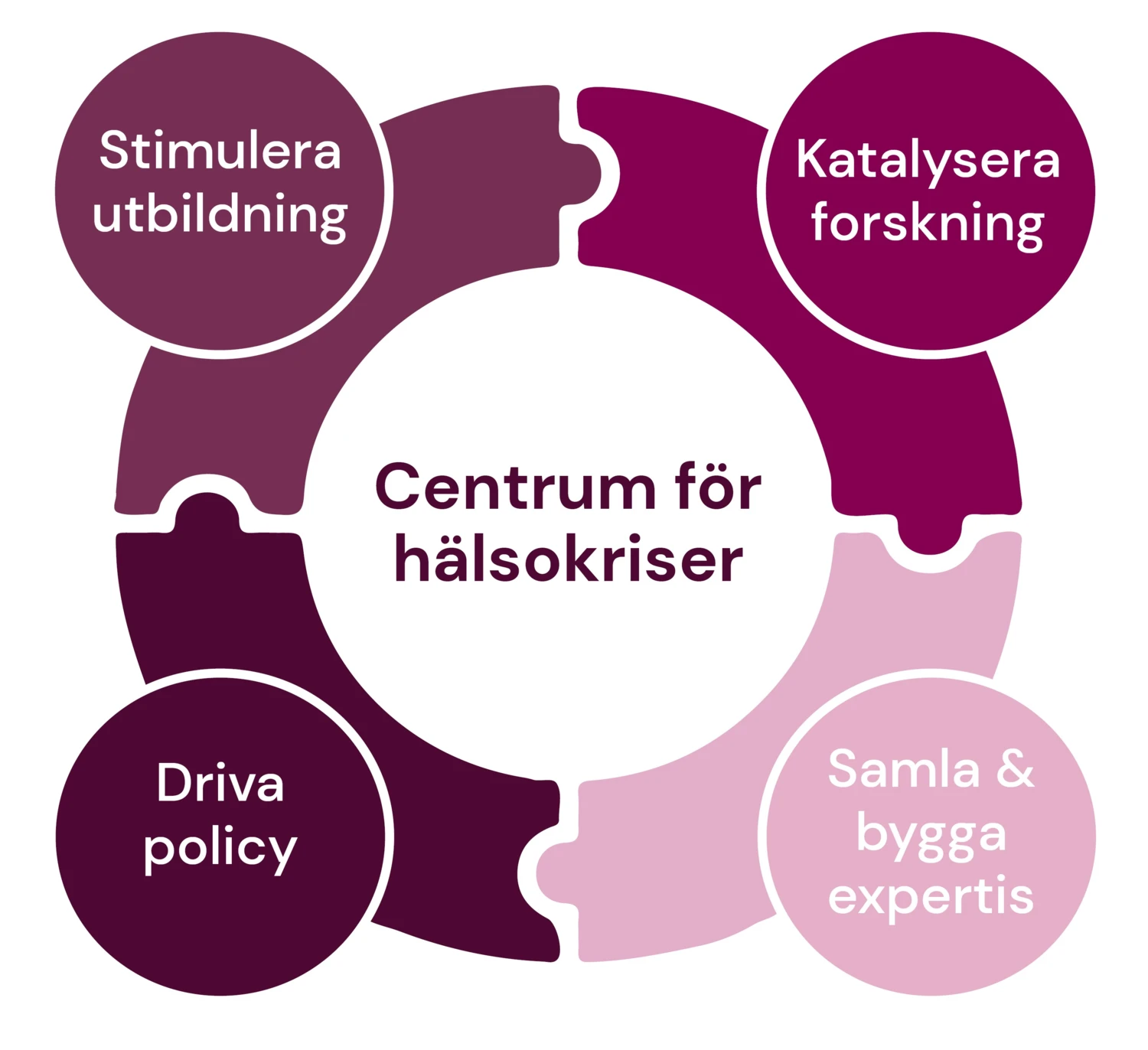 Cirkel bestående av fyra pusselbitar där det står: katalysera forskning, stimulera utbildning, samla och bygga expertis, driva policy