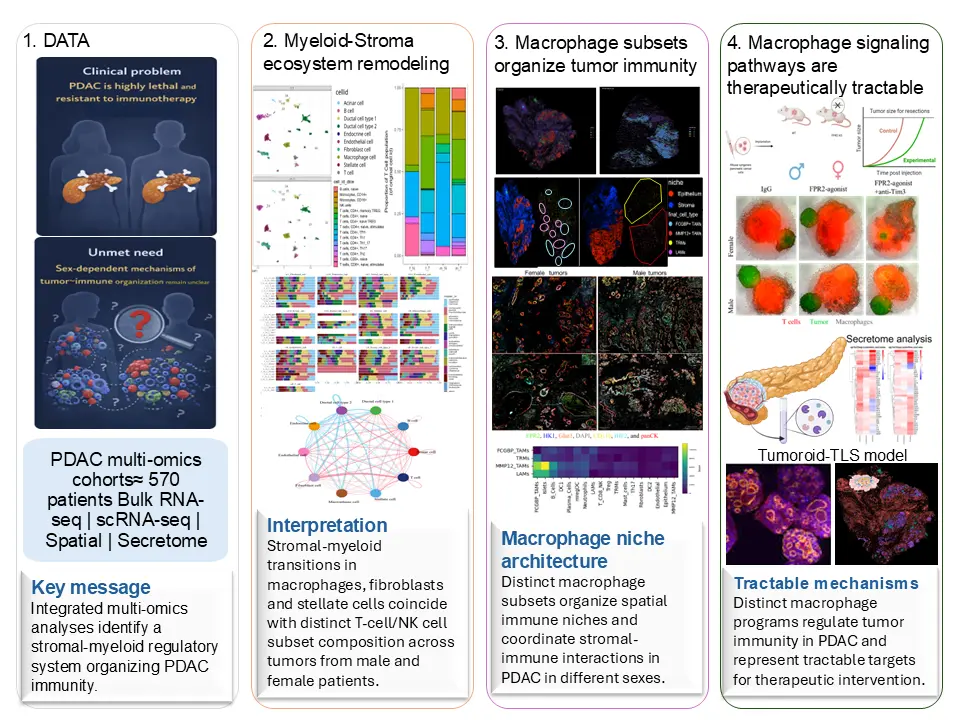 Graphical abstract, Research line I. Dhifaf Sarhan research.