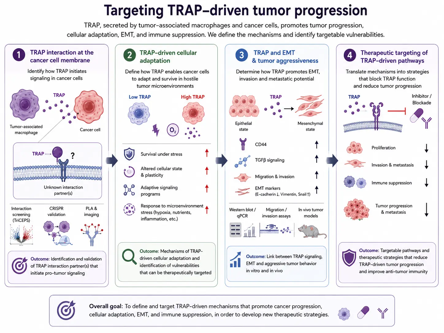 Graphic illustration showing Targeting tumor-promoting macrophage-cancer cell signaling