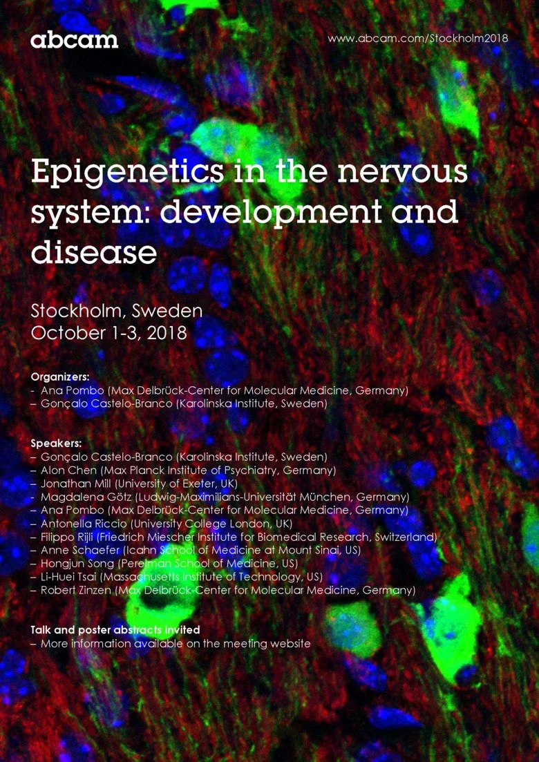 Poster for Epigenetics in the nervous system conference