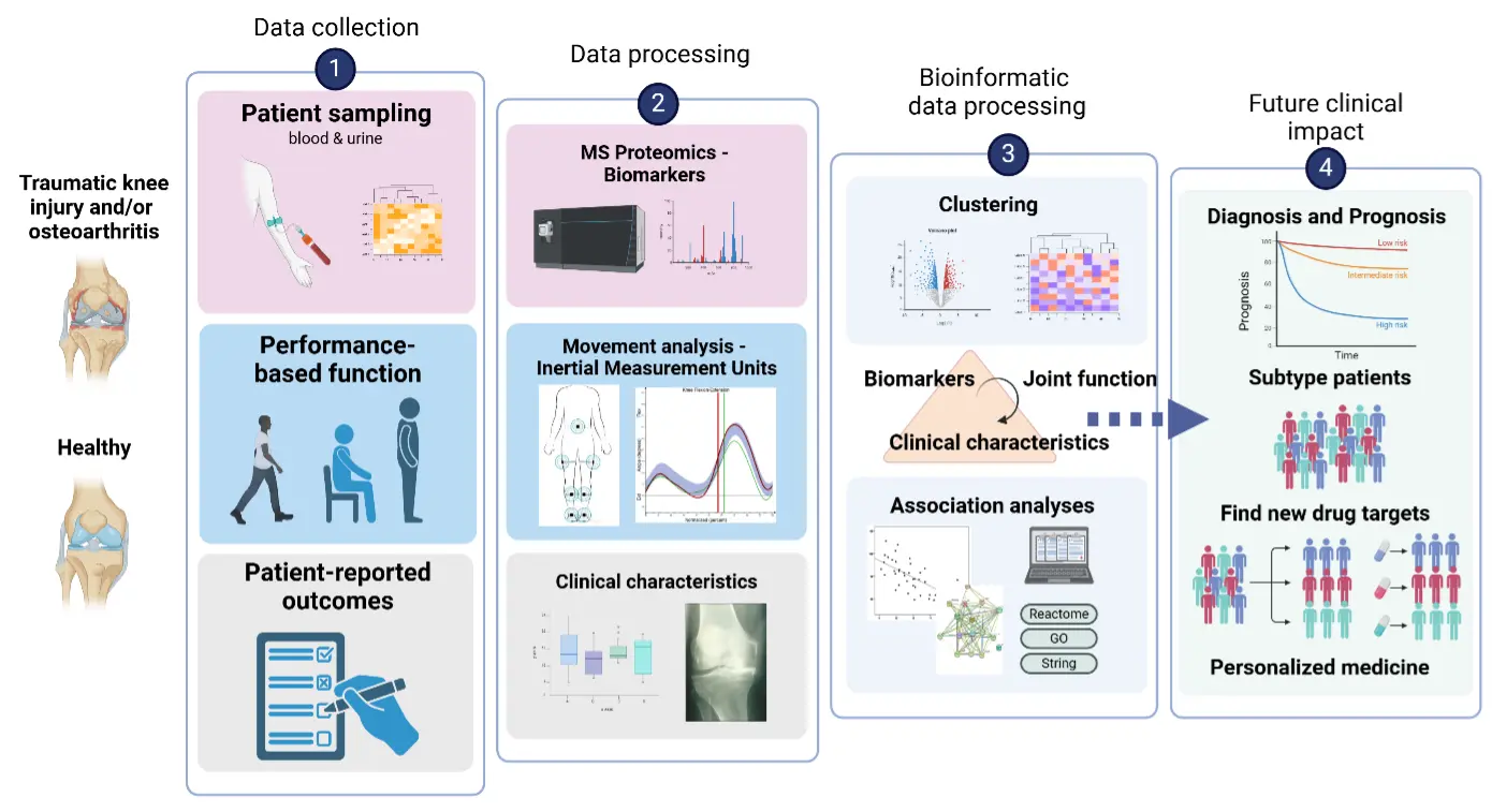 graphic picture with process description