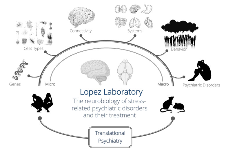 Schematic overview