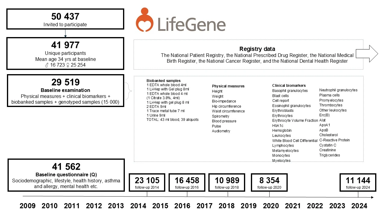 Flödesschema över antalet deltagare i LifeGene-studien