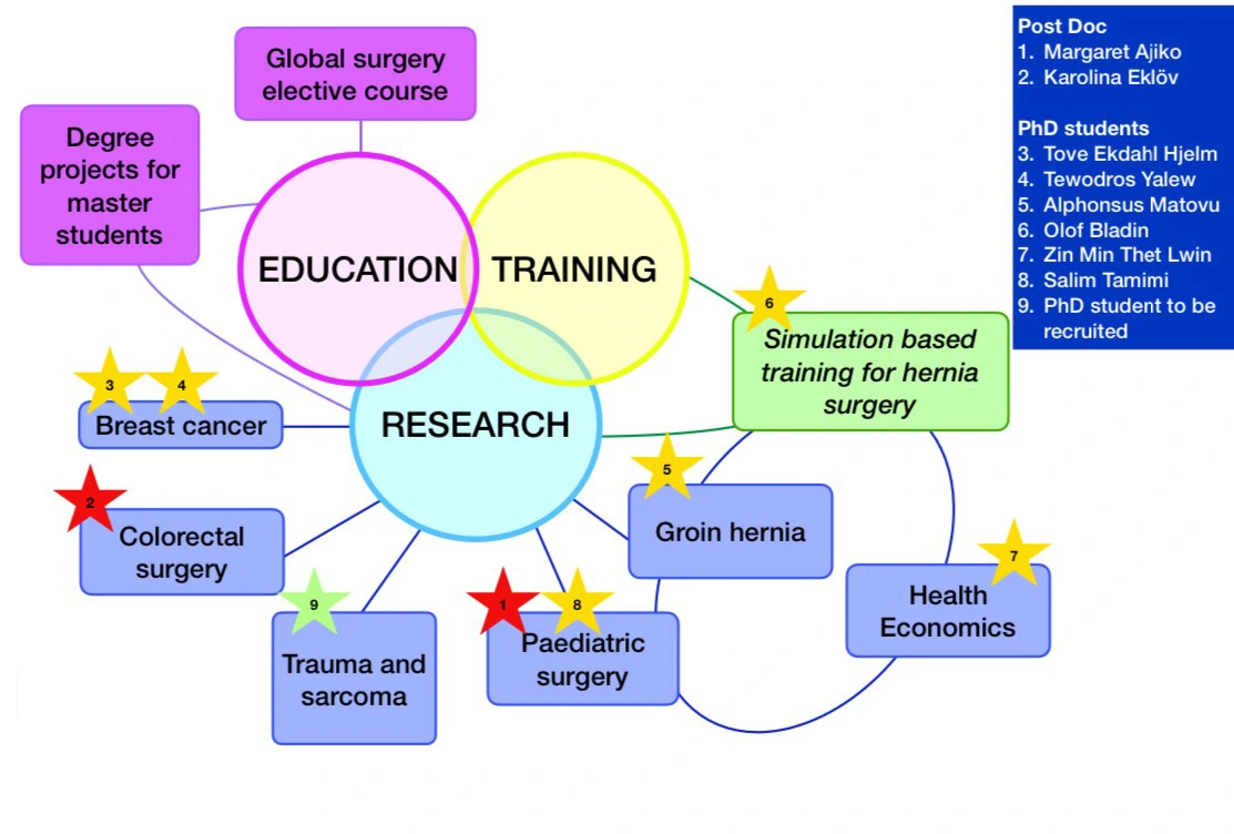 Overview of fields where the Global Surgery group are working