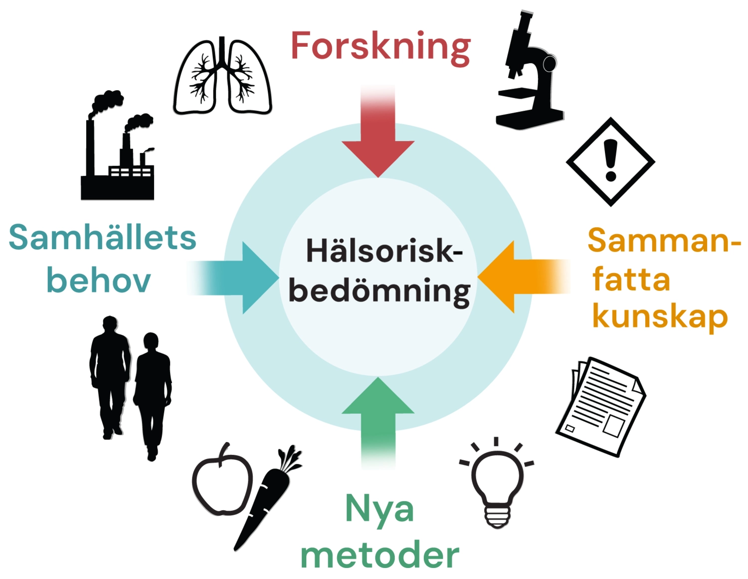 Hälsoriskbedömning IMM