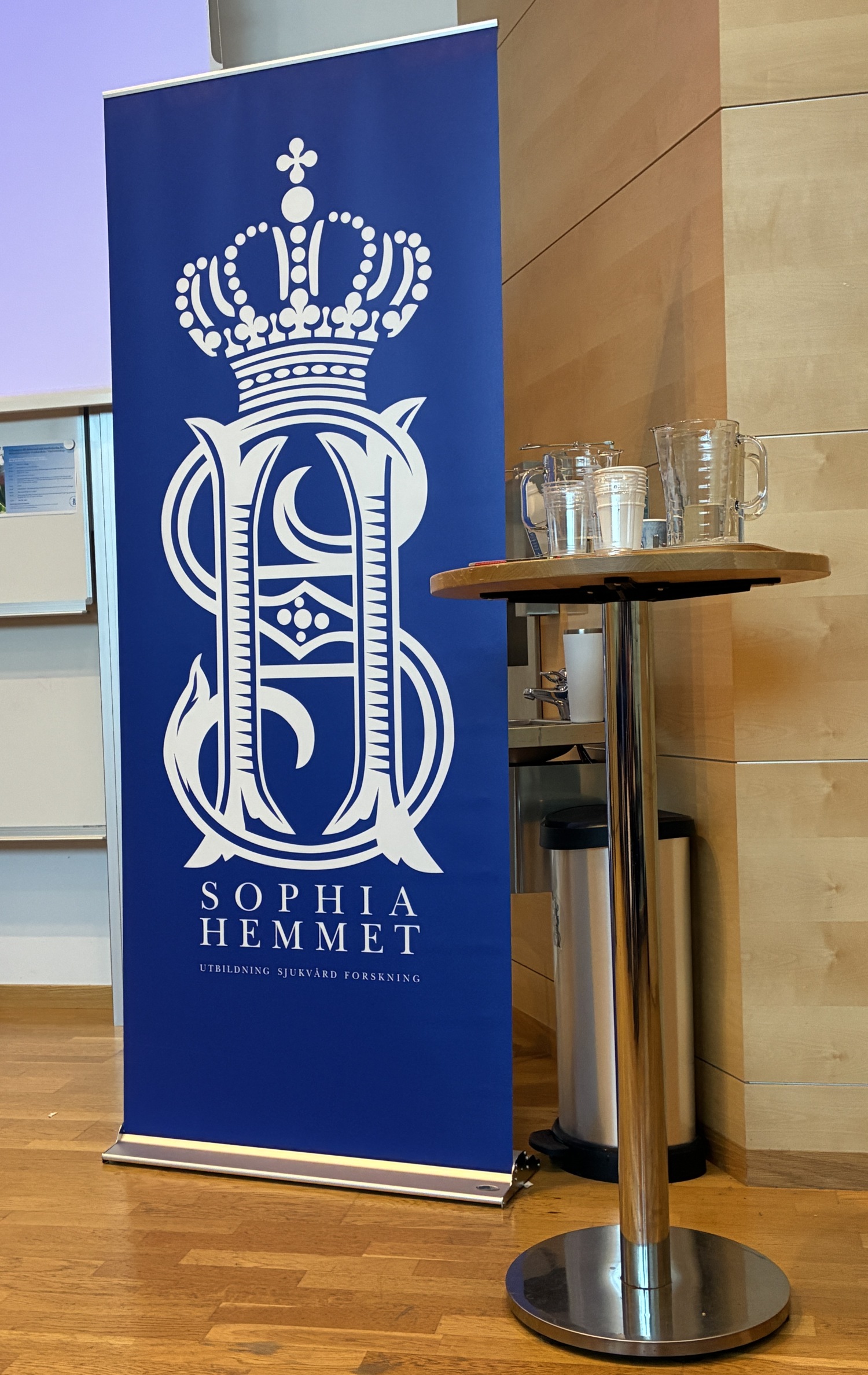 Sophiahemmet bild