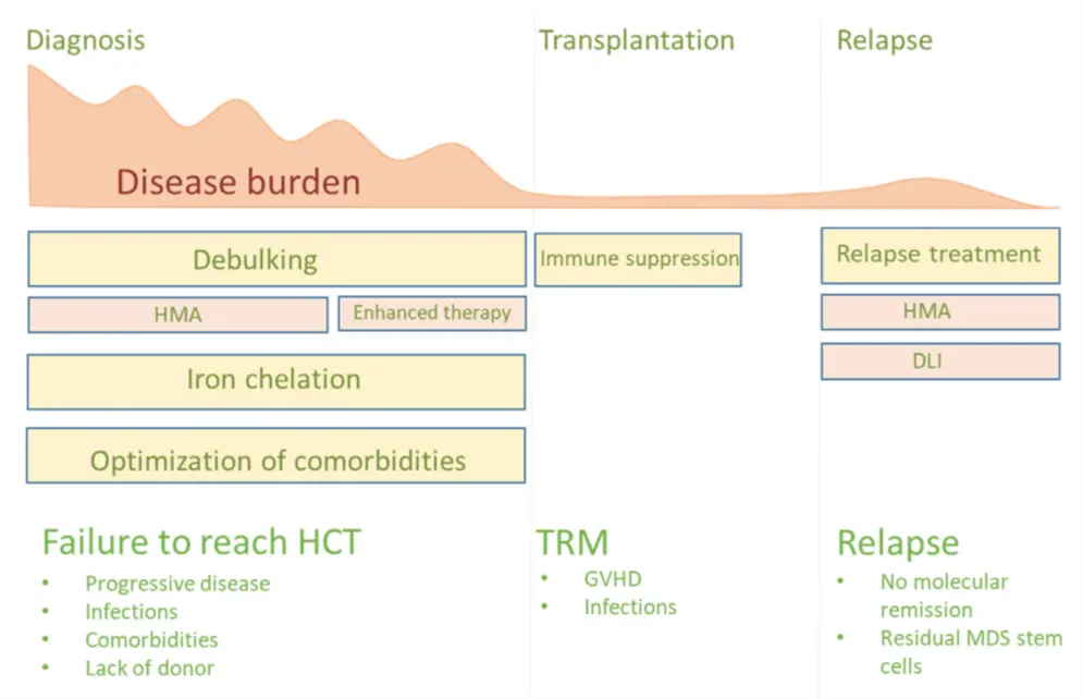Illustration of the transplantation process and how measurable residual disease assessment can guide treatment during the process