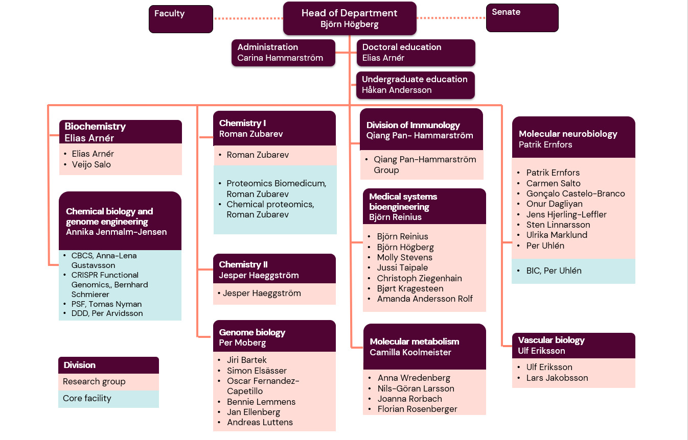 MBB Organisationschema 2026