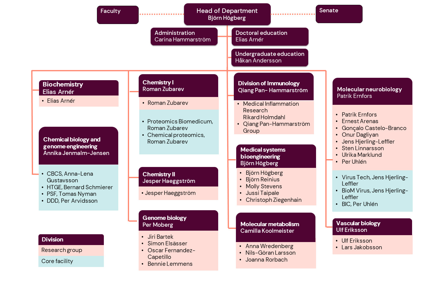 Organisational chart MBB 2024