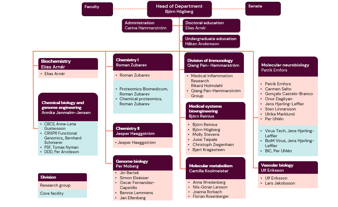MBB organisation May 2025