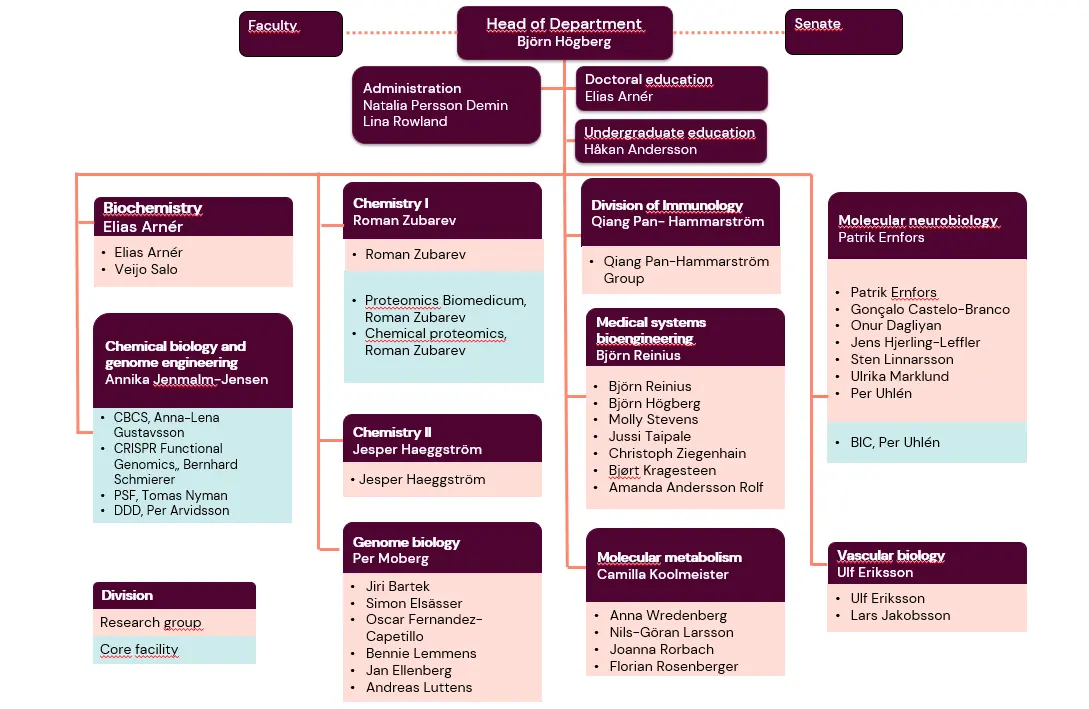 MBB org schema mars 2026