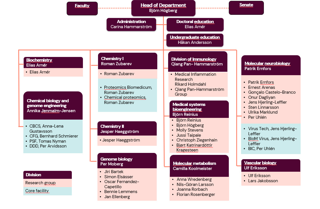 MBB Organisational chart 2025