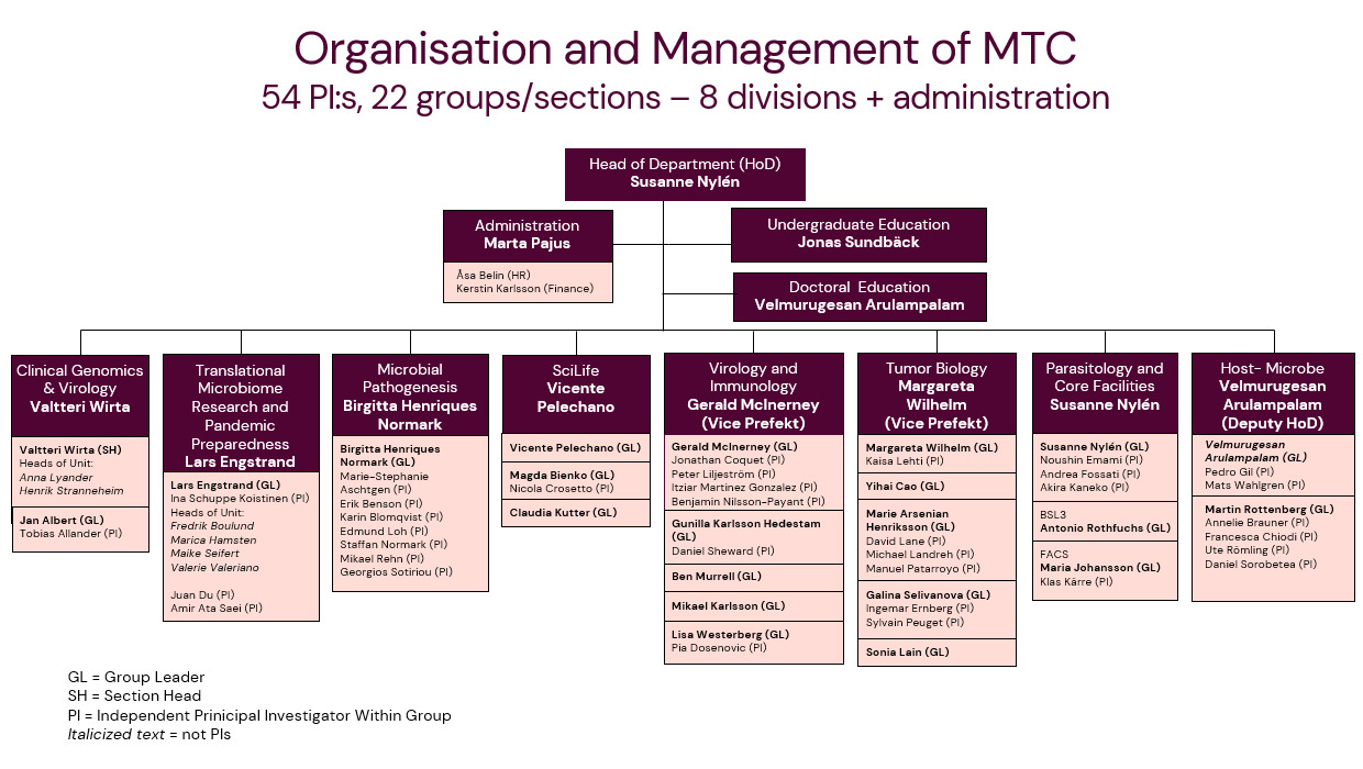 MTC Organisational Chart 2025