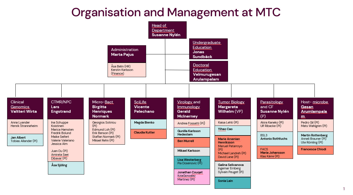 Organisationsschema MTC 2024