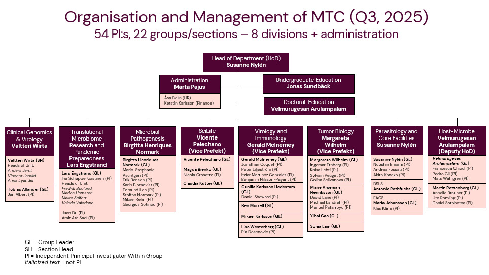 MTC organisationsschema augusti 2025