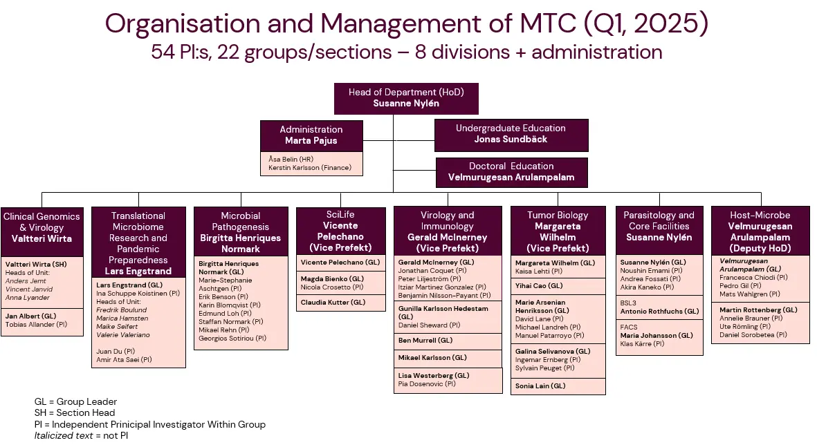 MTC Organisational Chart 2025