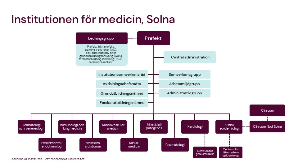 Bilden visar en organisationsstruktur för Institutionen för medicin i Solna. Överst finns 