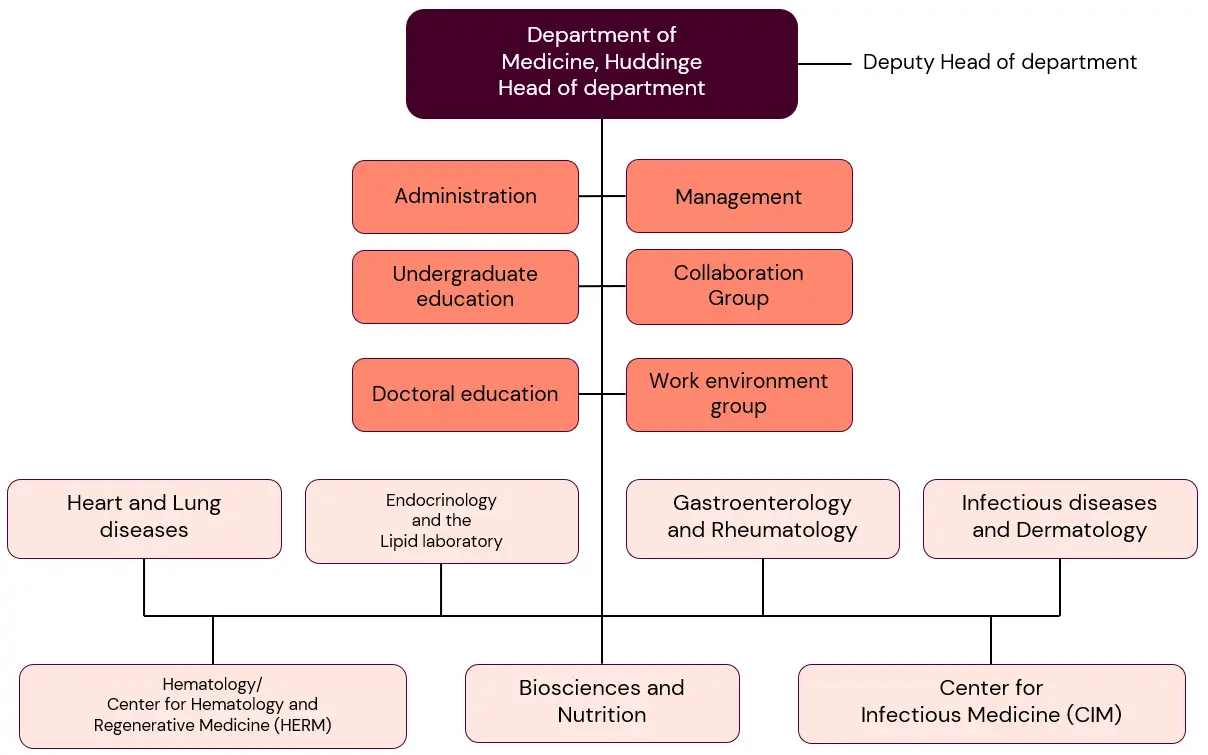 Organisational chart, Department of Medicine, Huddinge (MedH).