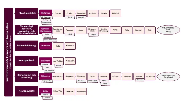 organisationsskiss