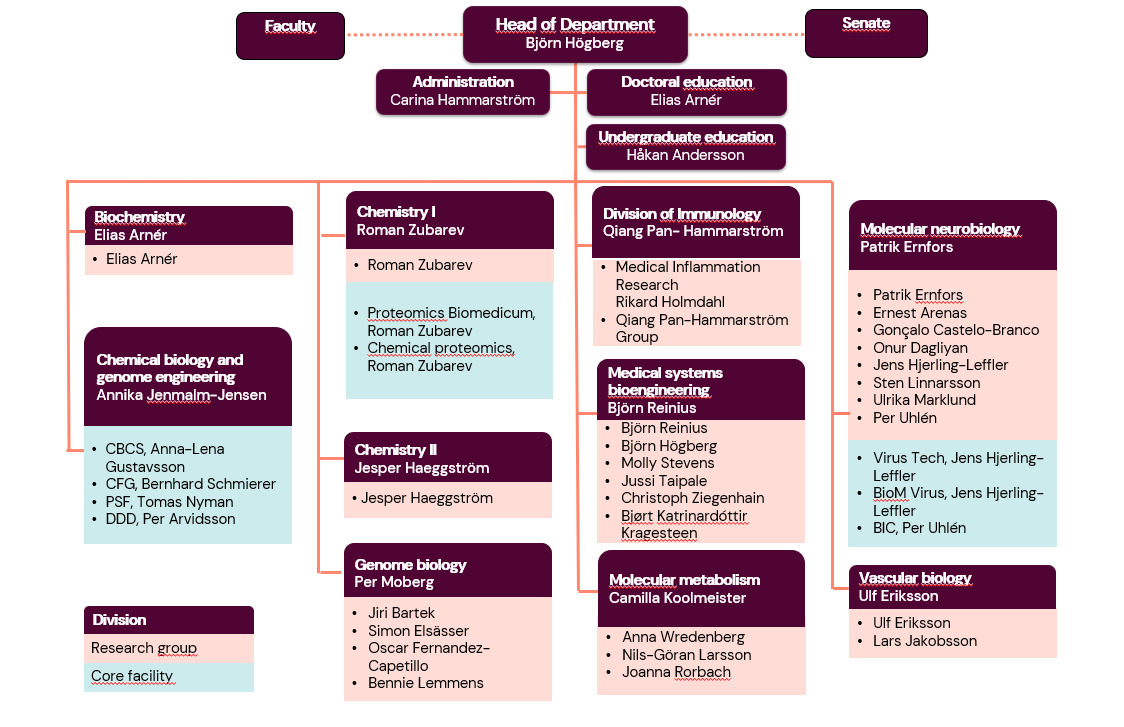 Organisational chart MBB 2024