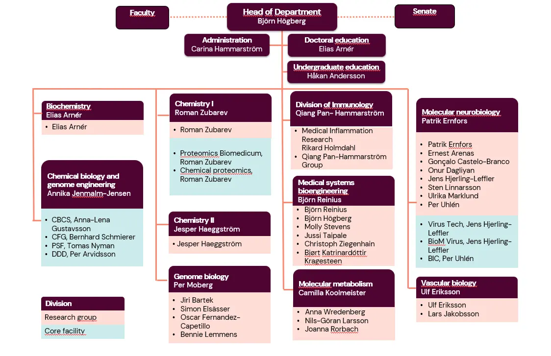 Organisationsschema MBB 2024