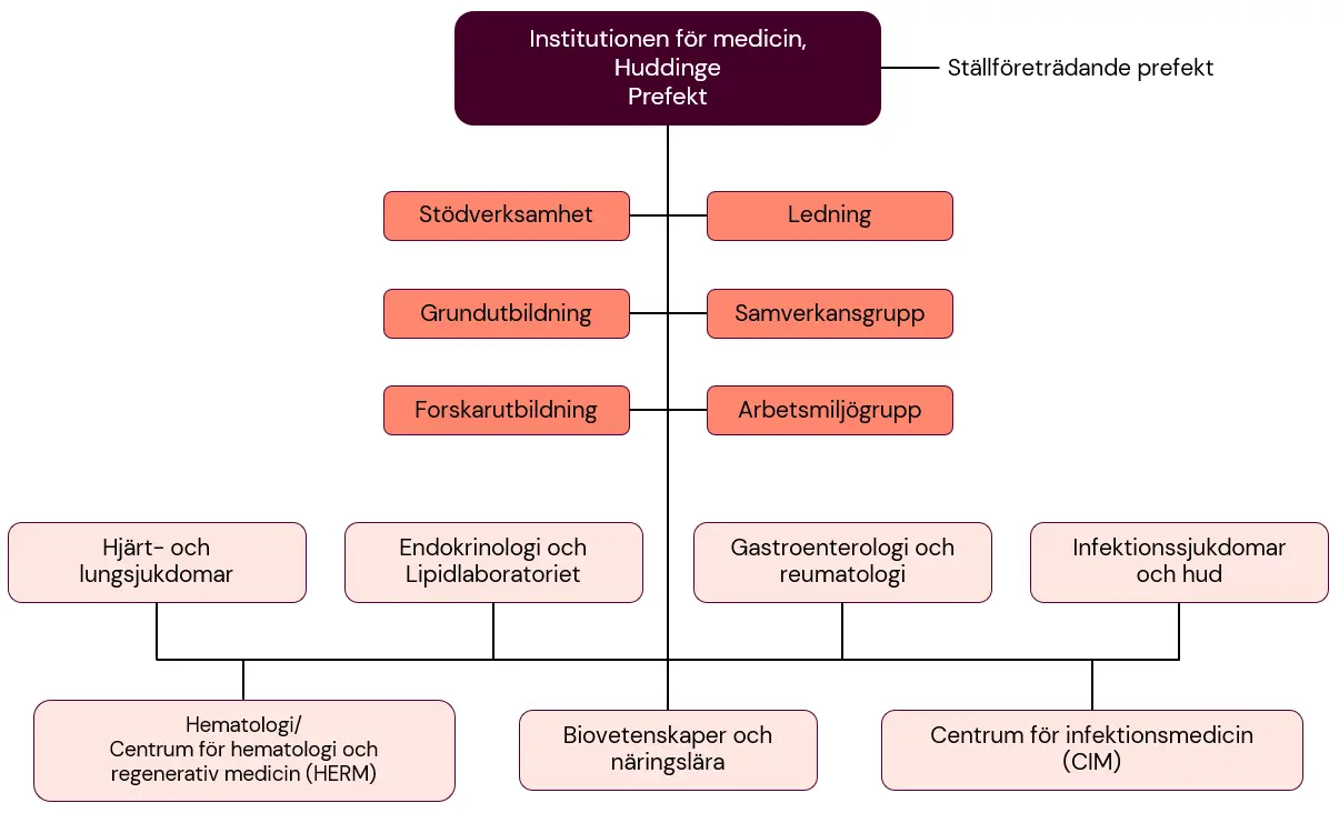 Organisationsskiss över institutionen för medicin, Huddinge (MedH).