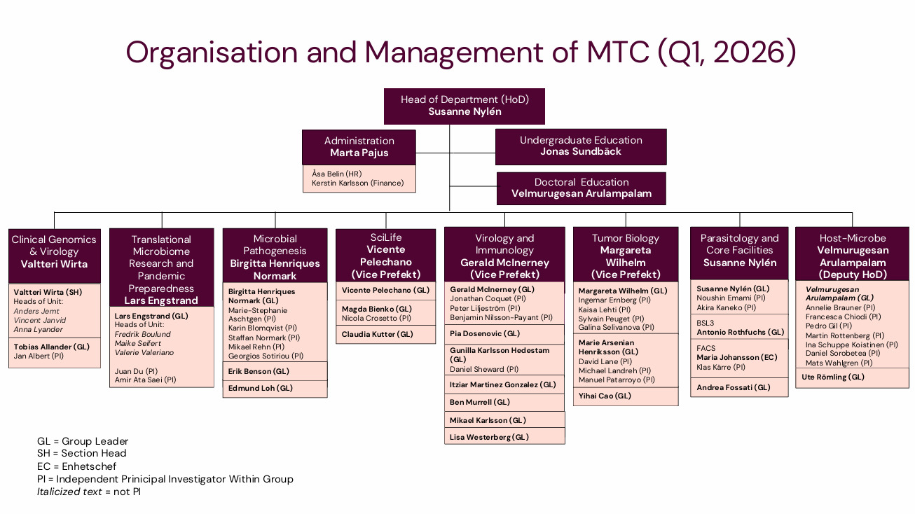 MTC organisationsschema mars 2026