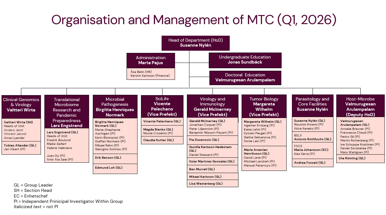 MTC organisational chart Q1 2026