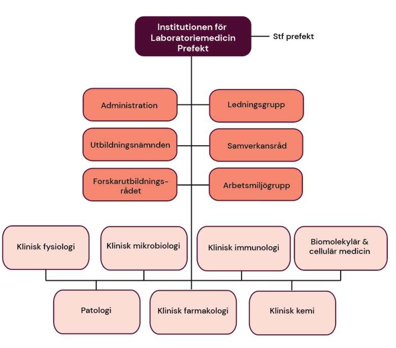 Organisationsschema över institutionen för laboratoriemedicin.
