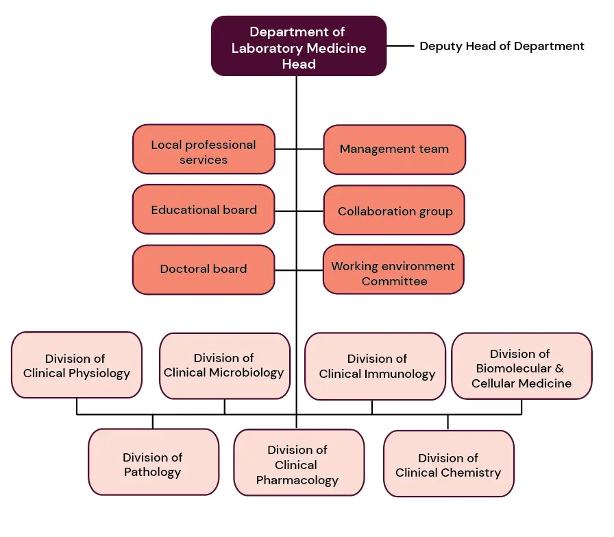 Organisational chart for Department of Laboratory Medicine.