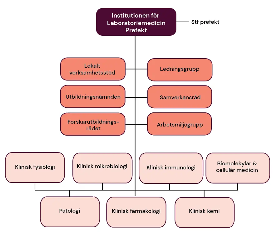 Organisationsschema över institutionen för laboratoriemedicin.