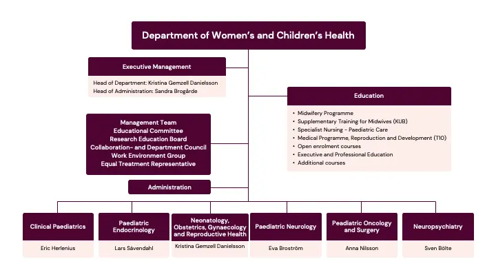 organization map