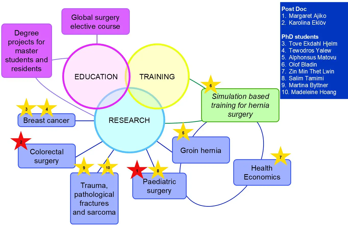 Overview of fields where the Global Surgery group are working