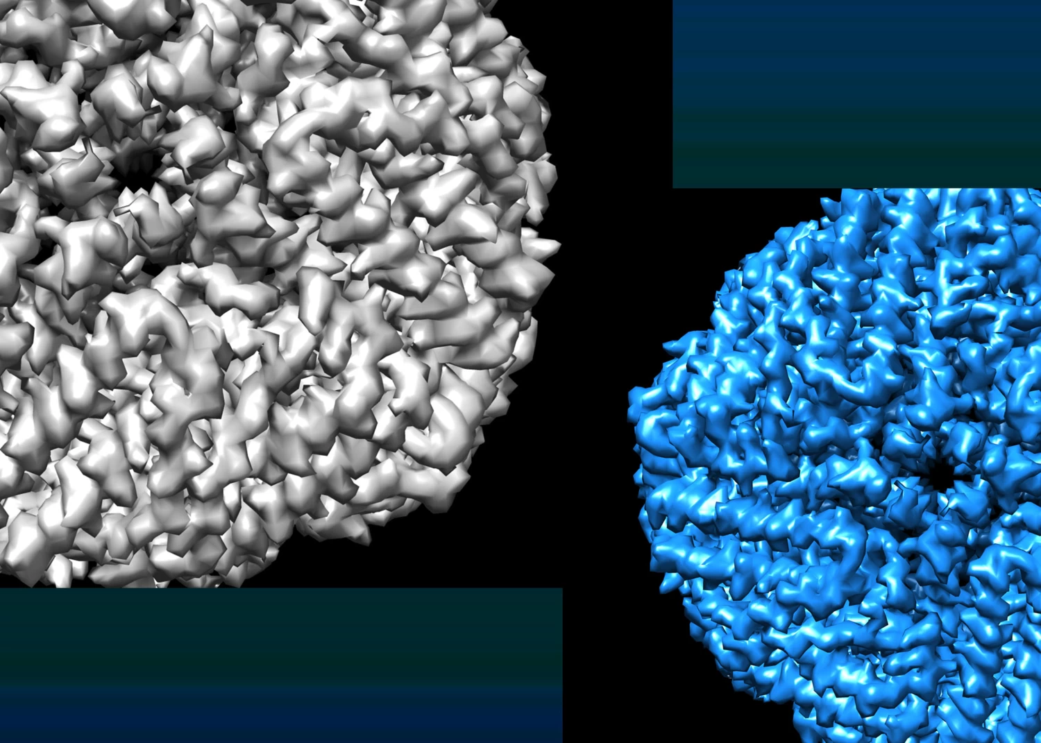 Stylized 3D structure map of equine apoferritin protein.
